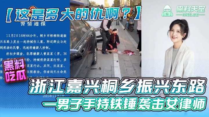 浙江嘉兴桐乡振兴东路一男子持铁锤袭击女律师